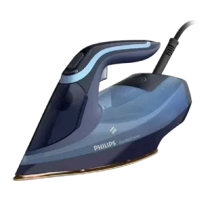81