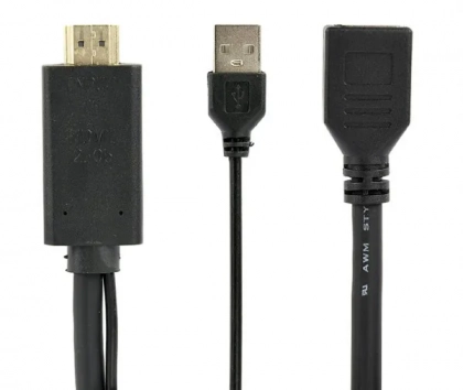 main_image