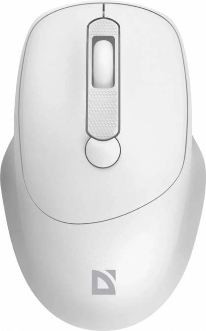 main_image