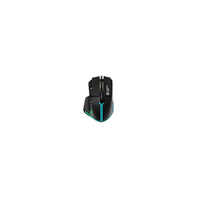 main_image