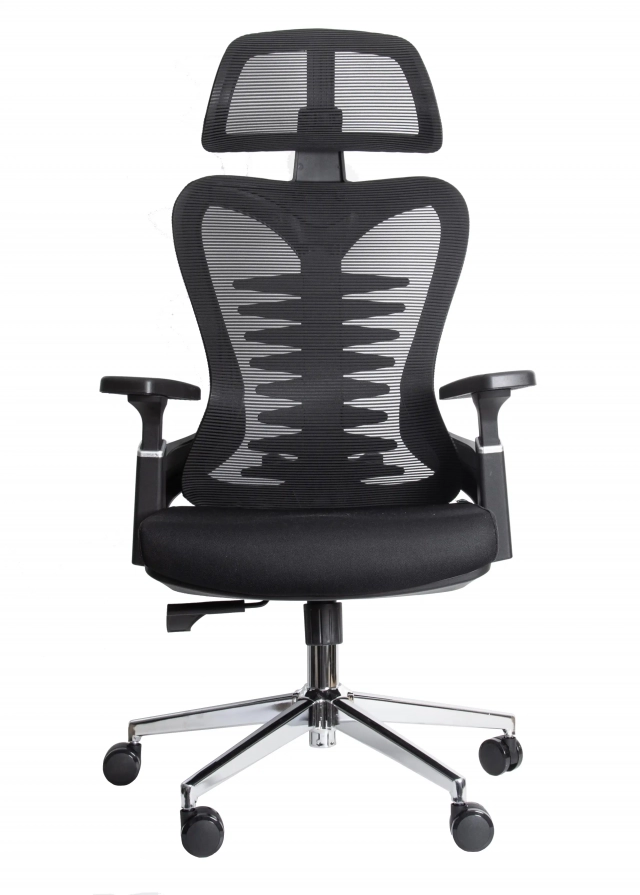 Ergonomska kancelarijska stolica UGD EasySit D50