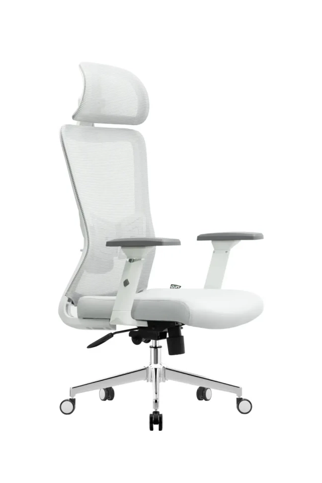 Ergonomska kancelarijska stolica UGD Silver Polare
