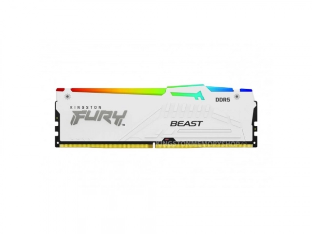 KINGSTON DIMM DDR5 32GB 5600MT/s KF556C36BWEA-32 Fury Beast RGB White Expo 