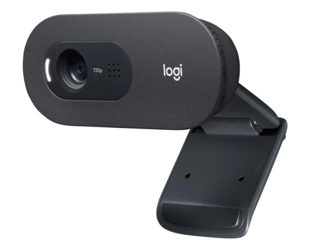 LOGITECH C505E Long Range HD web kamera OEM 
