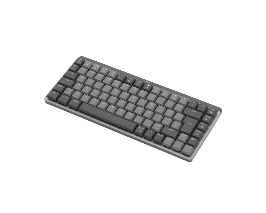 main_image