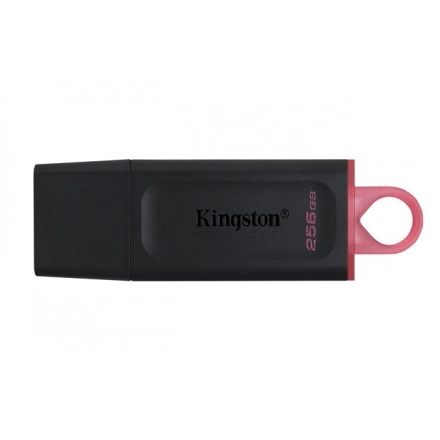 MEM UFD 256GB DTX KIN