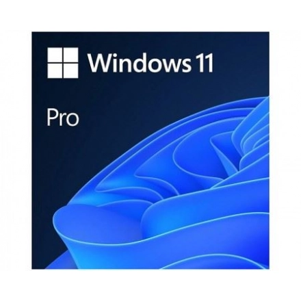 Microsoft FPP Windows 11 Pro Eng 64bit , HAV-00164