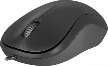 main_image