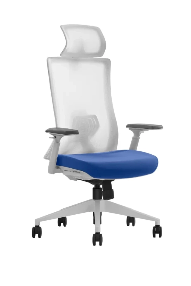 Ultra ergonomska kancelarijska stolica UGD P200 Blue