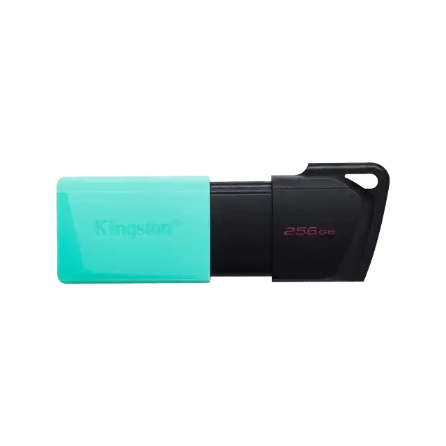 USB memorija KINGSTON DTXM/256GB/DataTraveler Exodia/3.2/crna