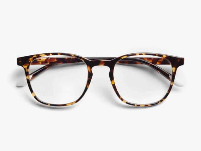 Zaštitne naocare BARNER Dalston/Glossy Tortoise